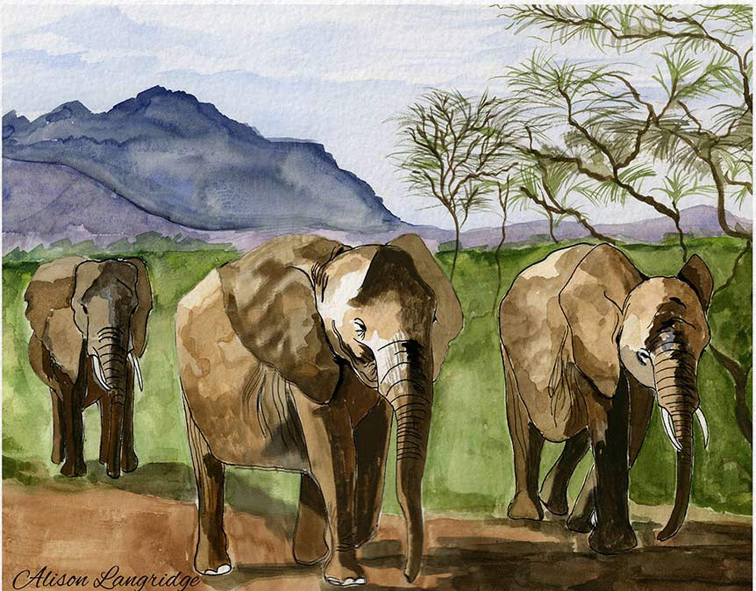 African Elephants Limited Edition Print from Original Watercolour Painting A4 size (8.27 x 11.69 inches)