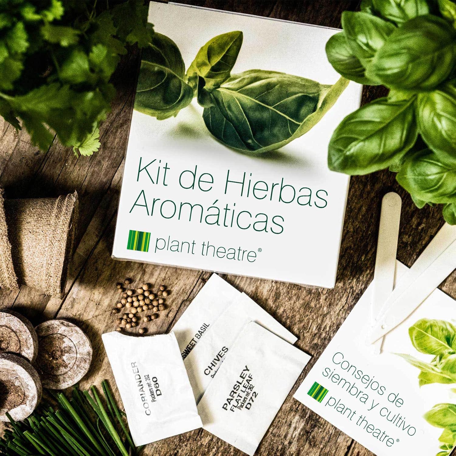 Plant Theatre Kit de Hierbas Aromáticas - 6 hierbas diferentes ...