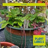 EFA International 50Pcs Plant Labels Biodegradable Birch Wood Markers 15cm view 4
