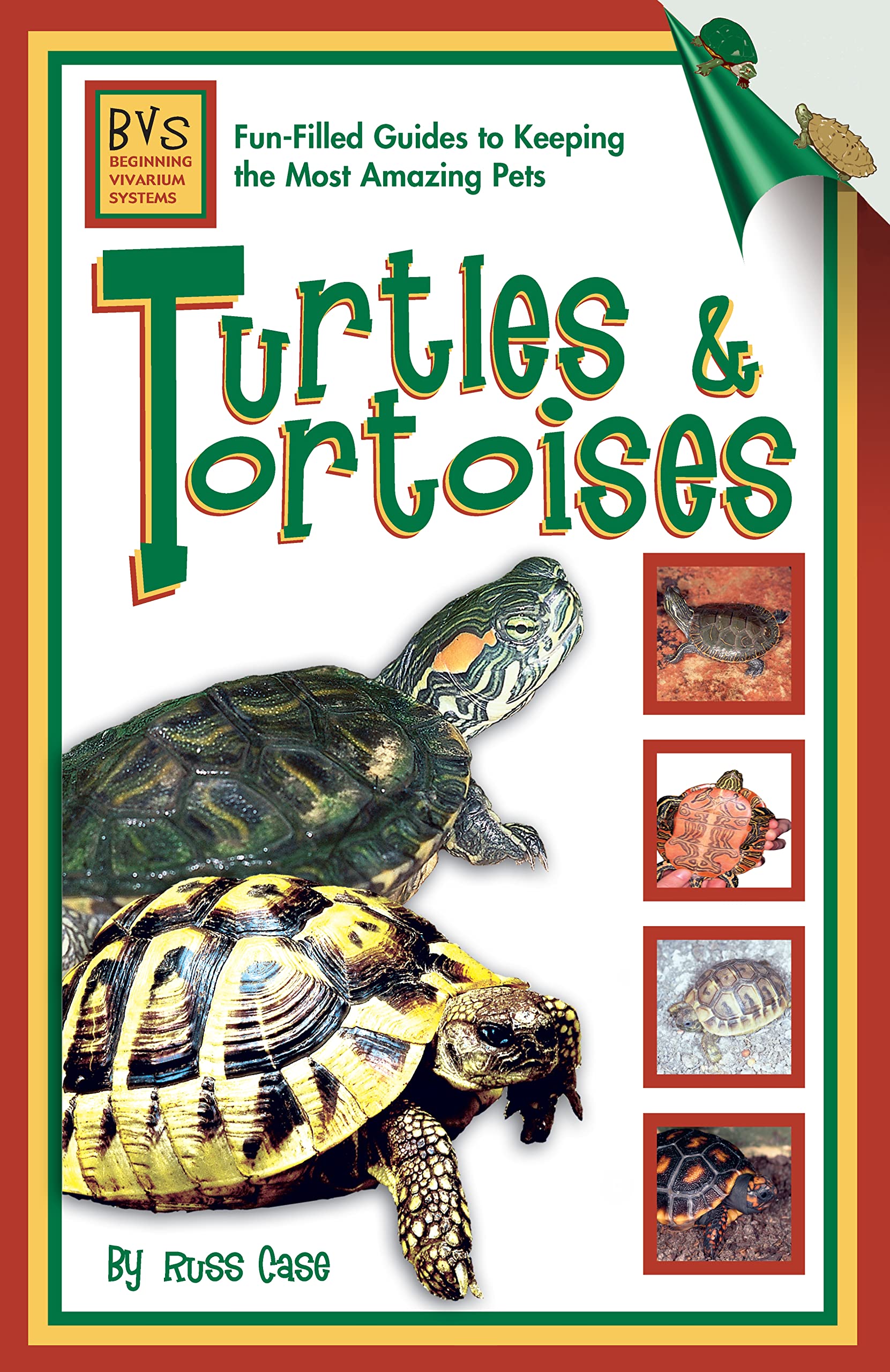Turtles & Tortoises: Beginning Vivarium Systems