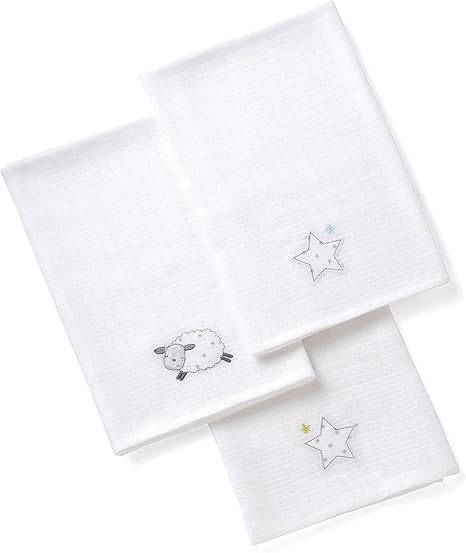 silver cloud counting sheep