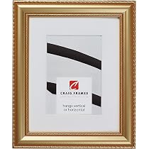Amazon.com - Craig Frames Victoria, 22 x 28 Inch Ornate Gold ...