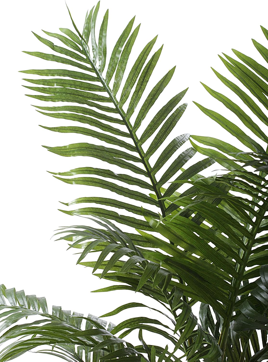 Closer2Nature 4ft Vibrant Artificial Areca Palm Tree with Silk Leaves or as Indoor Office - Image 3