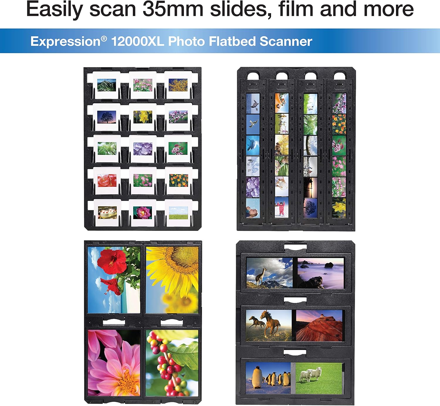 Epson Expression 12000XL-PH Flatbed Scanner: Electronics