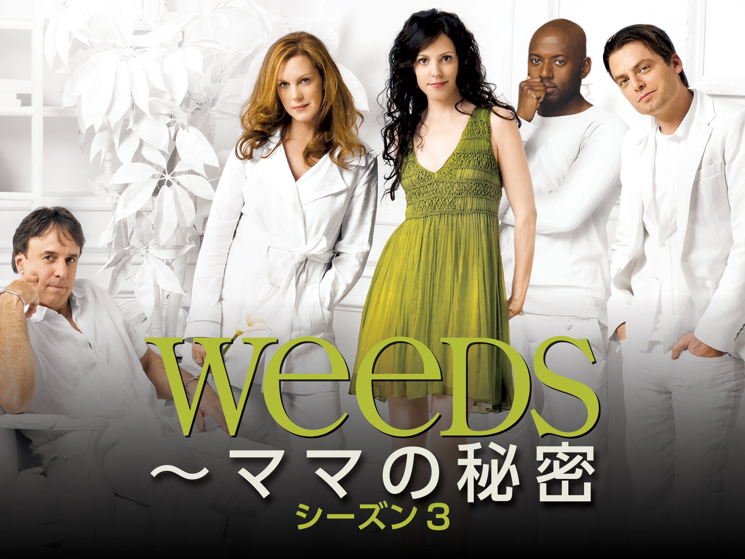 Amazon Co Jp Weeds ママの秘密 シーズン3 字幕版 を観る Prime Video