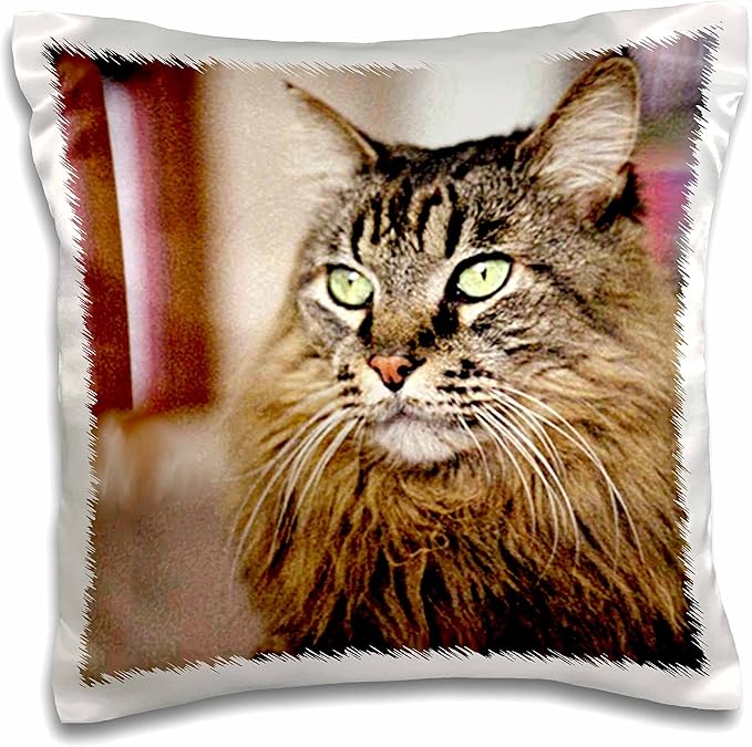maine coon pillow