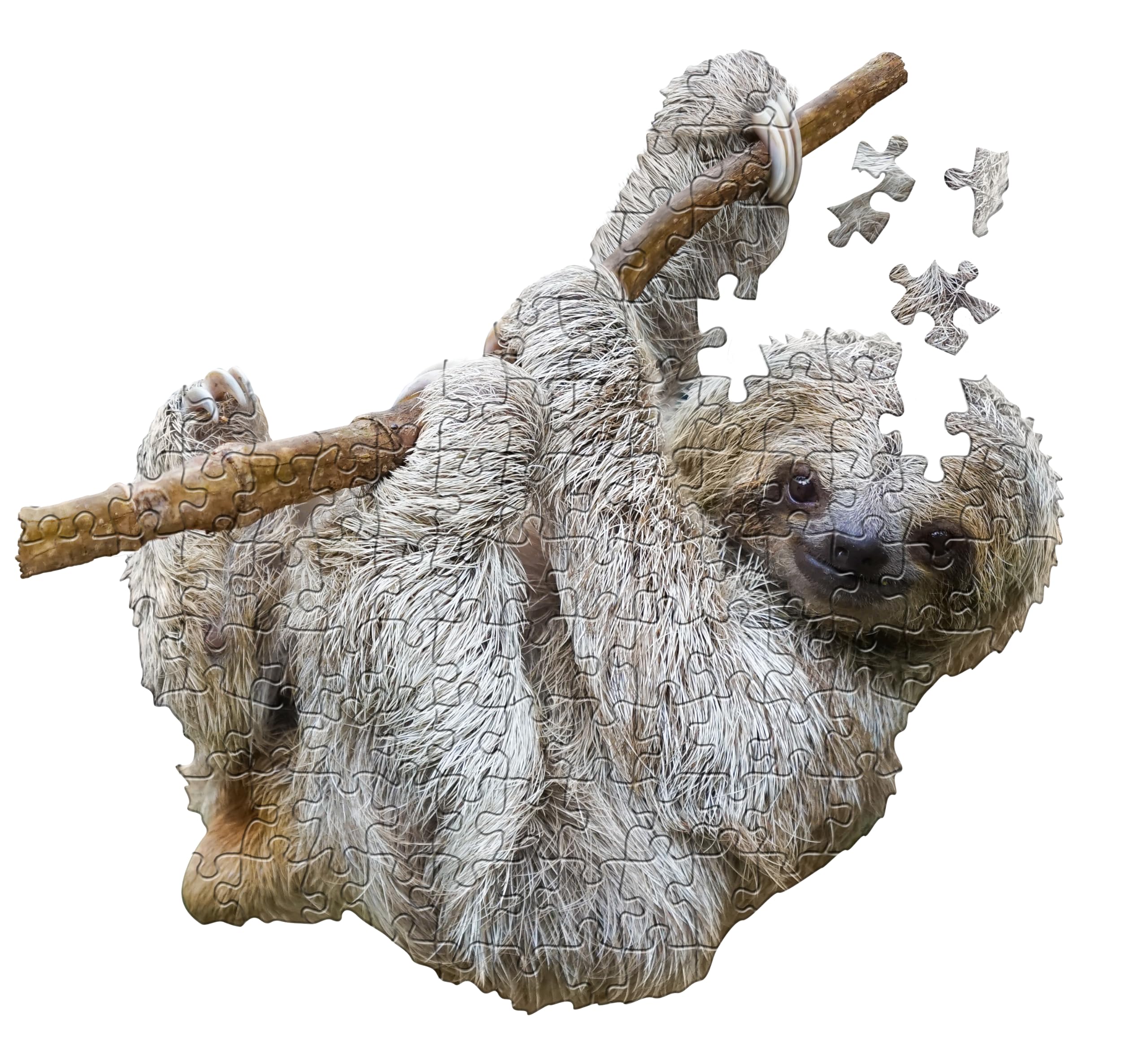 Madd Capp I Am Lil Sloth Shaped Jigsaw Puzzle, 100 Pieces, Animal Themed Puzzle for Children and Adults from 5 Years, Ocean Tides, 21 x 30 Inches