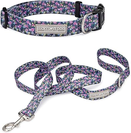 cute puppy collars and leashes