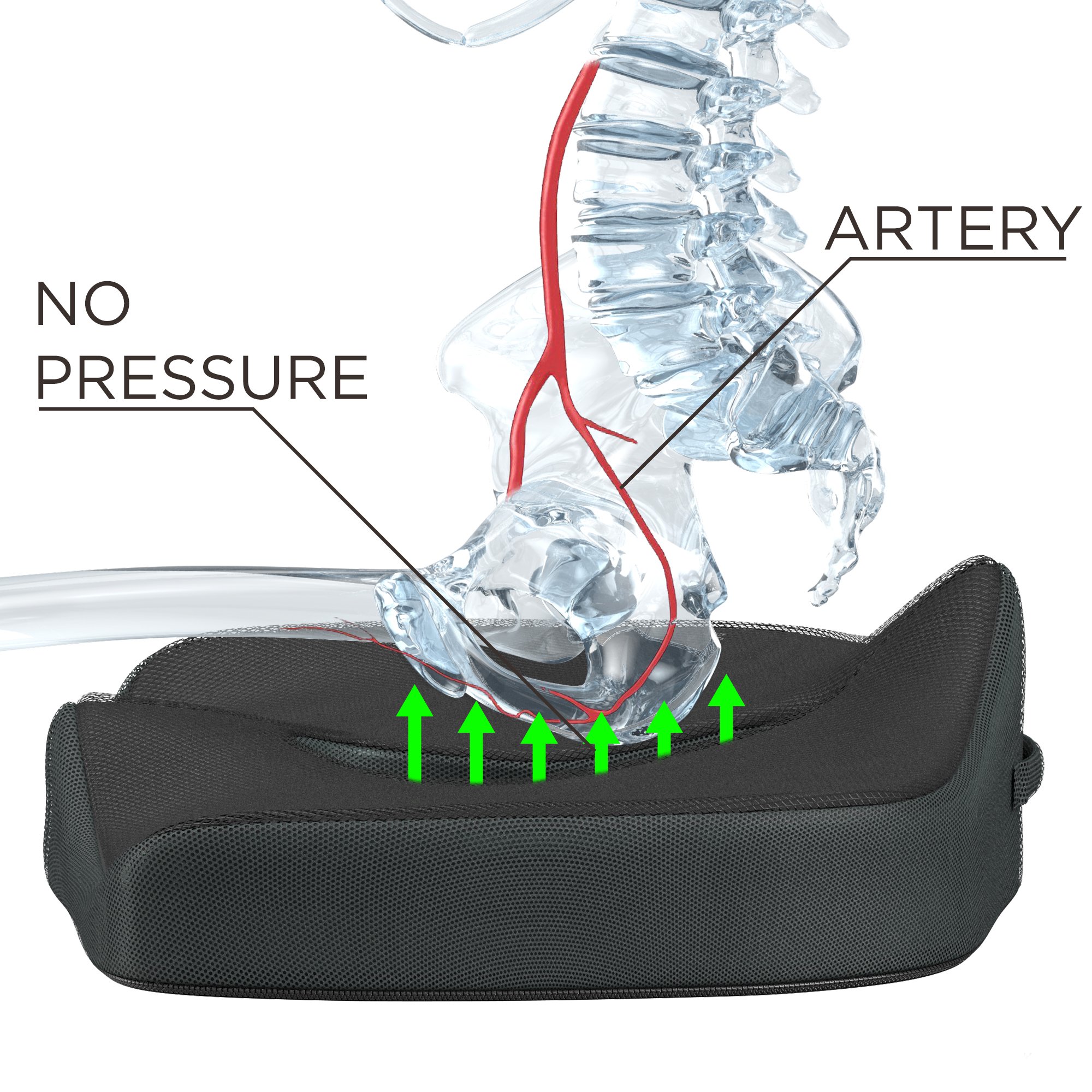 Gideon Coccyx Cushion Orthopedic Tailbone Seat Cushion for Office Chair, Car, Truck, Wheelchairs, etc. - Provides Relief for Lower Back Pain, Tailbone, Sciatica, Pelvic Pain, Prostate, etc.[UPGRADED]