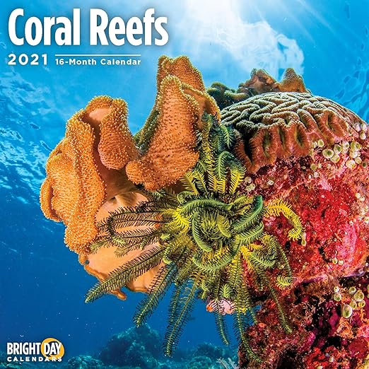 2021 Coral Reefs Wall Calendar by Bright Day, 12 x 12 Inch