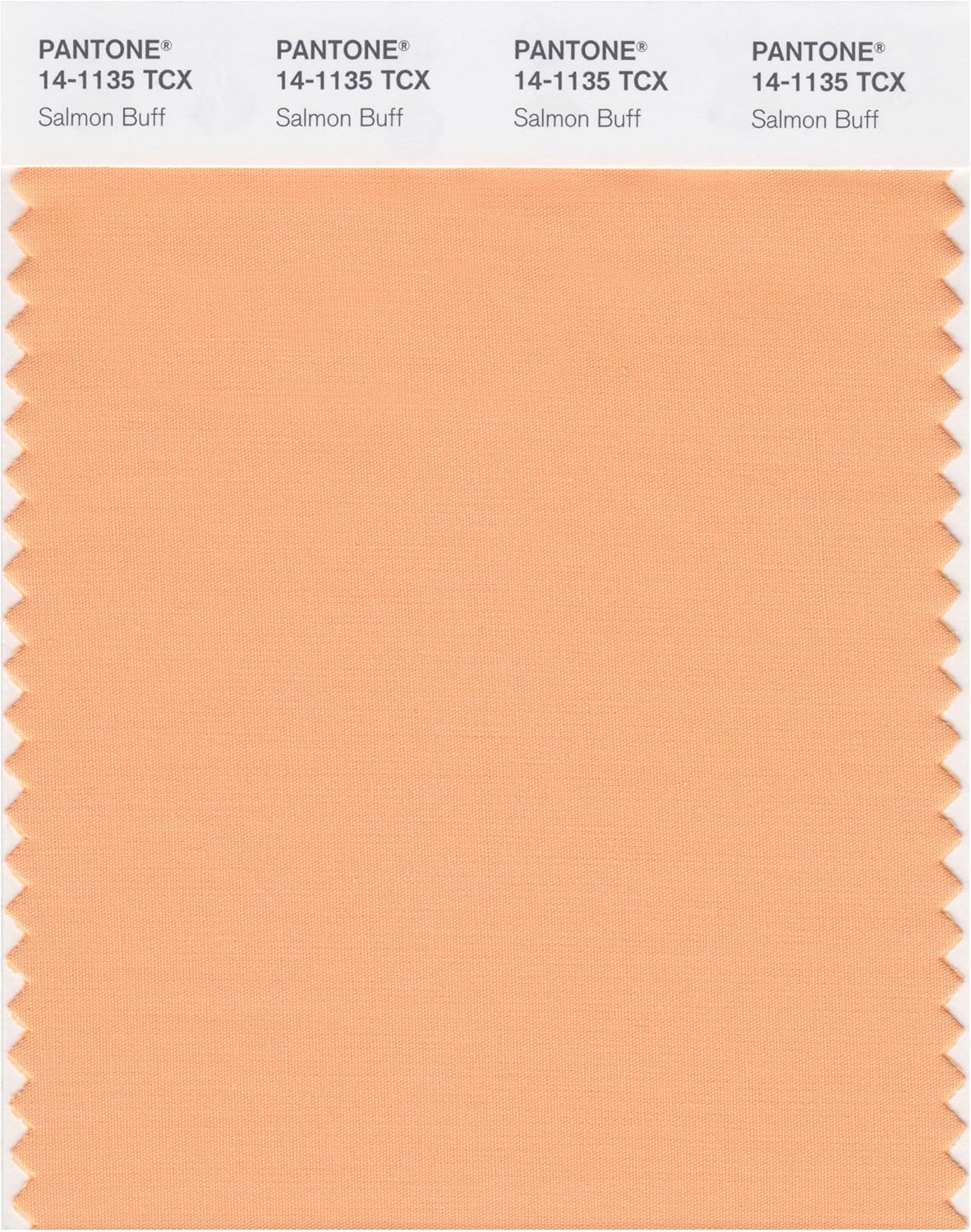 PANTONE SMART Color Swatch Card, salmón, (Salmon Buff)