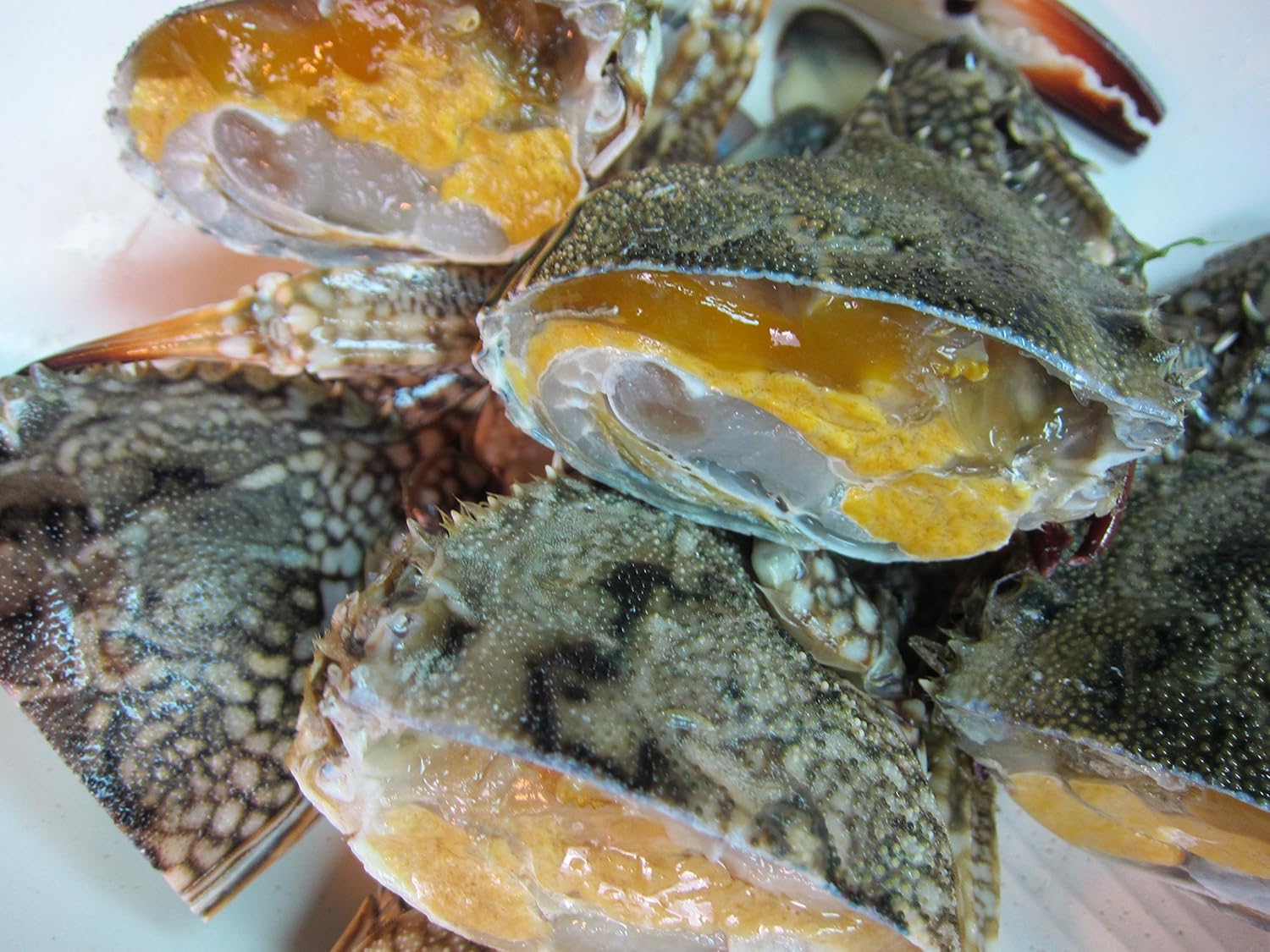 台湾ガザミ メス3kg 子持ちも 尾前後 Ask Sanin 山陰境港 カニ 通販 Amazon