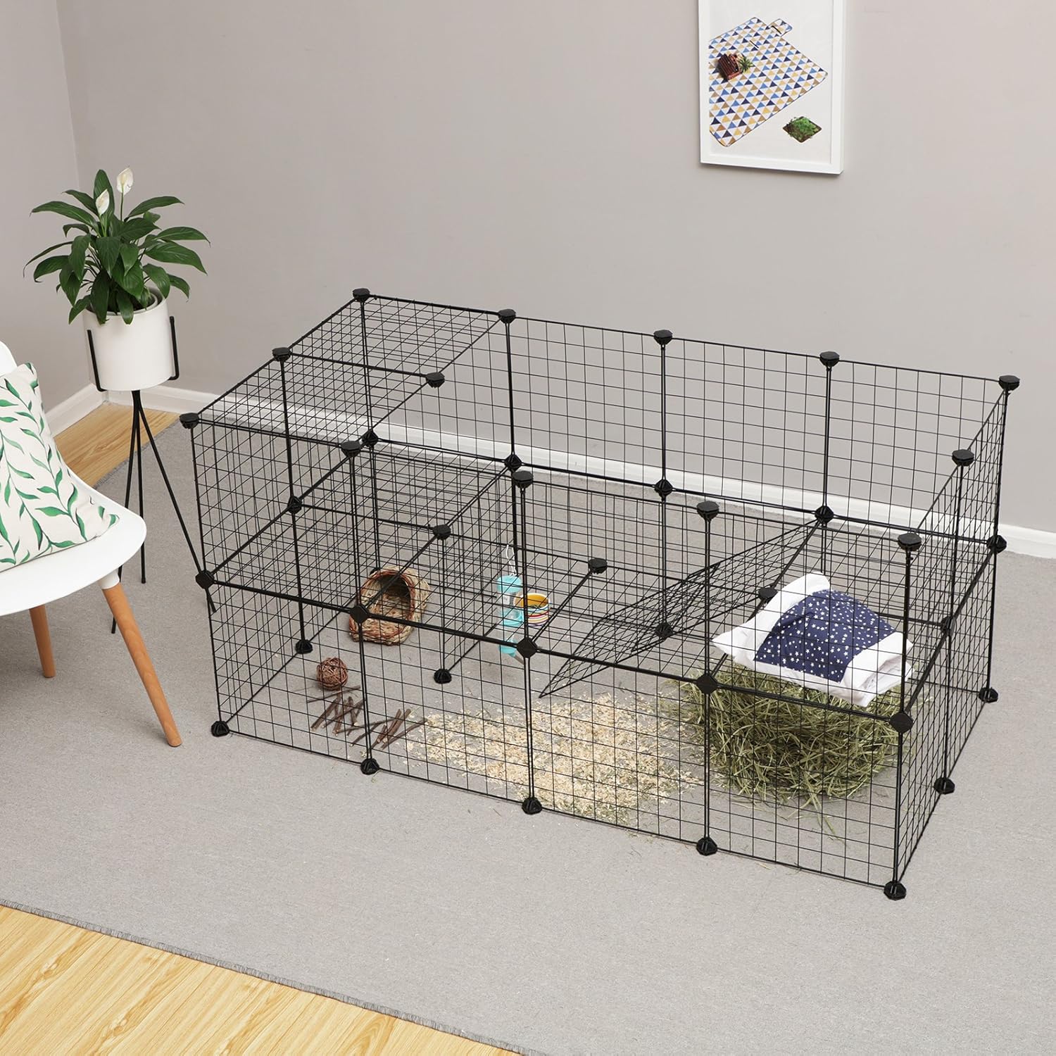 Peaceful Are Rabbits Good Pets For Apartments Photos