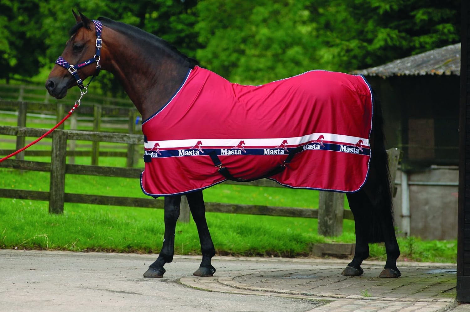 Masta Coolmasta Horse Rug Red, 7.25 Ft Sports & Outdoors