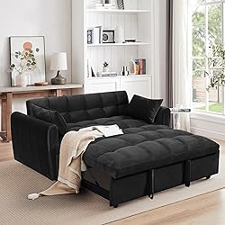 65-Inch Loveseat with Pull Out Sleeper Couch