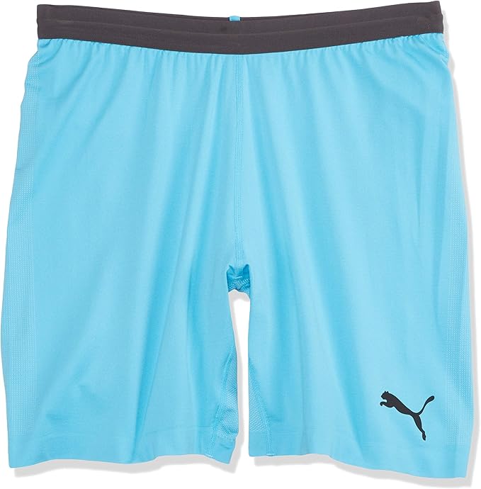 puma goalkeeper shorts