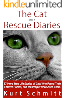 the cat rescue