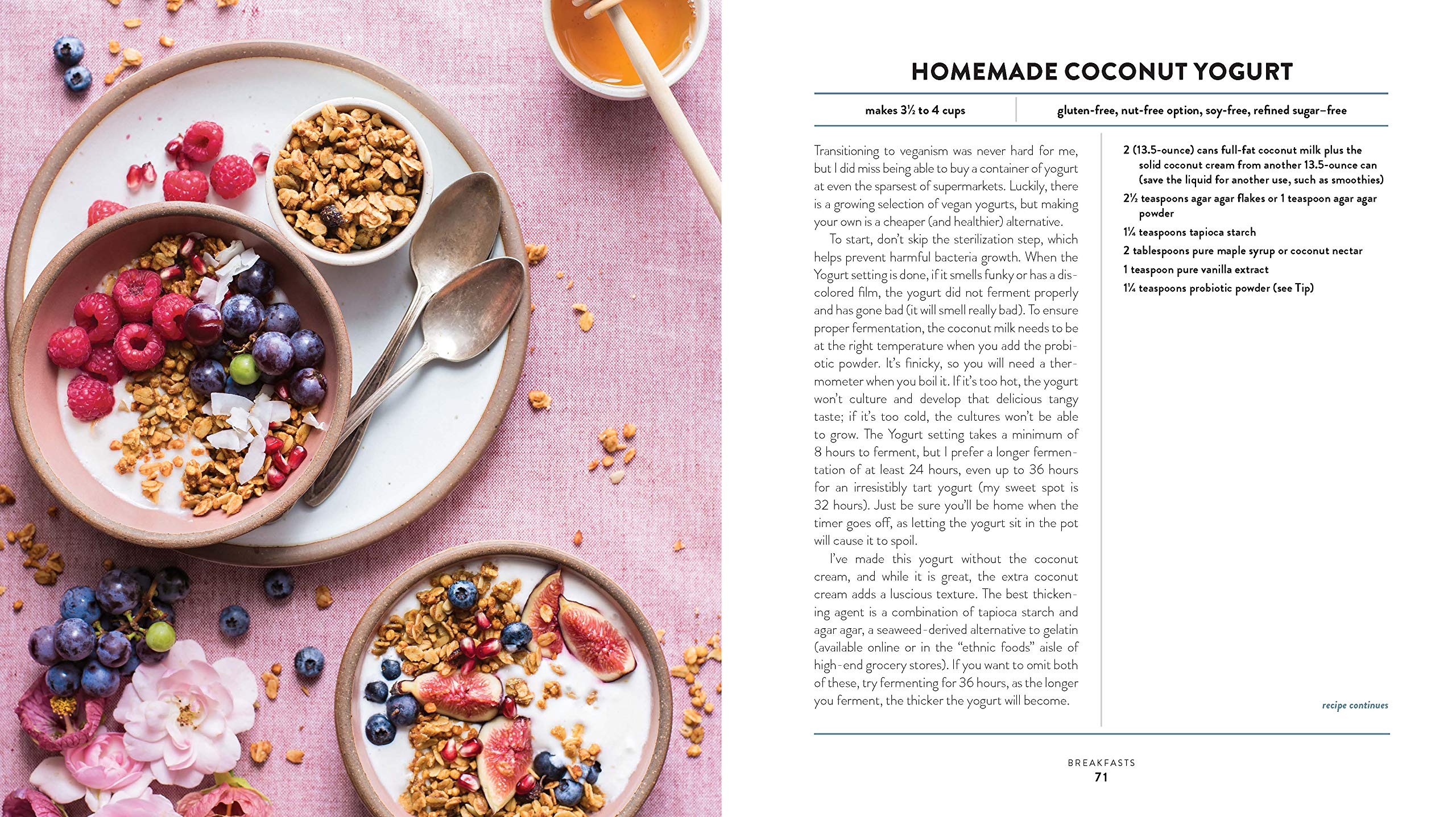 The Vegan Instant Pot Cookbook: Wholesome, Indulgent Plant-Based Recipes