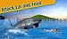 Crazy Shark 3D Sim