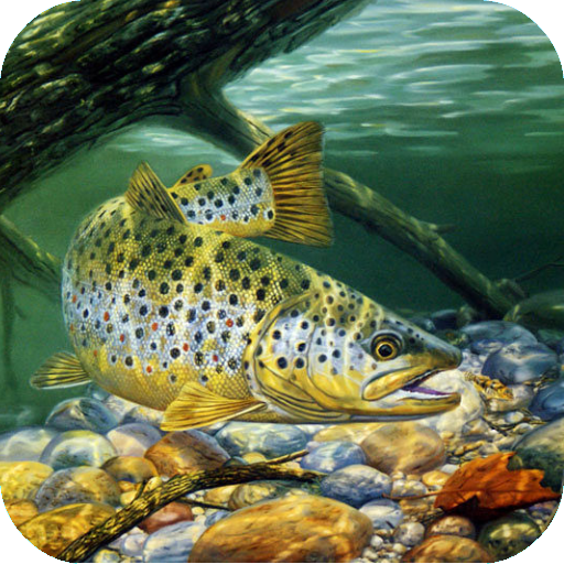 Fishing