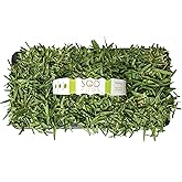 SodPods&reg; St. Augustine CitraBlue Grass Plugs for Lawn Repair, 3" x 3" Each (32-Count) &ndash; Cannot Ship to California/Arizona