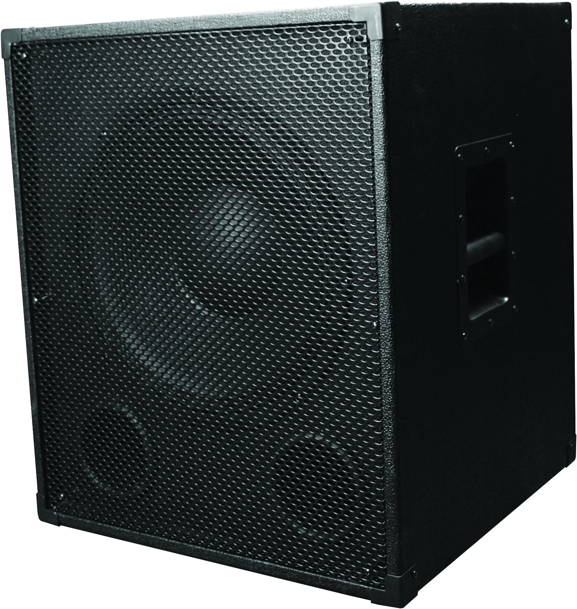 SHS Audio S-PS15 Powered Speaker Cabinet