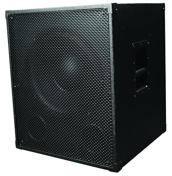 SHS Audio SPS18 Powered Speaker Musical Instruments