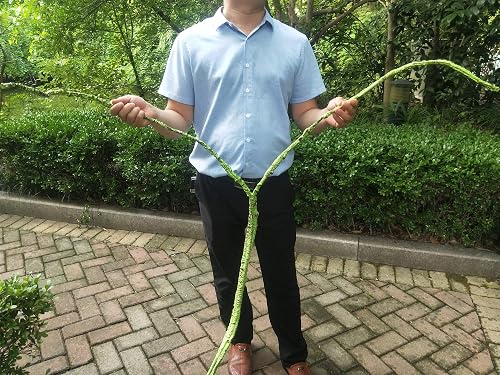 thumbnail image 2 of Artificial Flexible Reptile Vines Rattan Chameleon Lizard Terrarium Branches Bendable Jungle Reptile Pet Habitat Decoration 2 of 14
