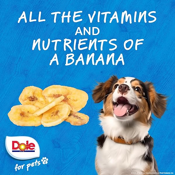 DOLE FOR PETS AIR DRIED BANANA DOG TREATS, SINGLE INGREDIENT DOG TREATS MADE WITH REAL BANANA, NO WHEAT, CORN, SOY, ARTIFICIAL FLAVORS, COLORS, OR PRESERVATIVES, AIR DRIED BANANA CHIPS, 6 OZ