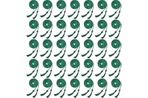CONAGEL 35 Pieces Graduation Honor Cord Rayon Braided Cords Yard Honor Cord with Tassels Bulk for Bachelor Gown Decoration Graduates Photography (Green)