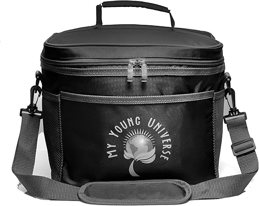 amazon cooler lunch bag