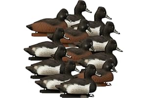 Higdon Outdoors Standard Ringneck Duck Decoys, Foam-Filled
