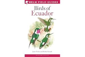 Field Guide to the Birds of Ecuador