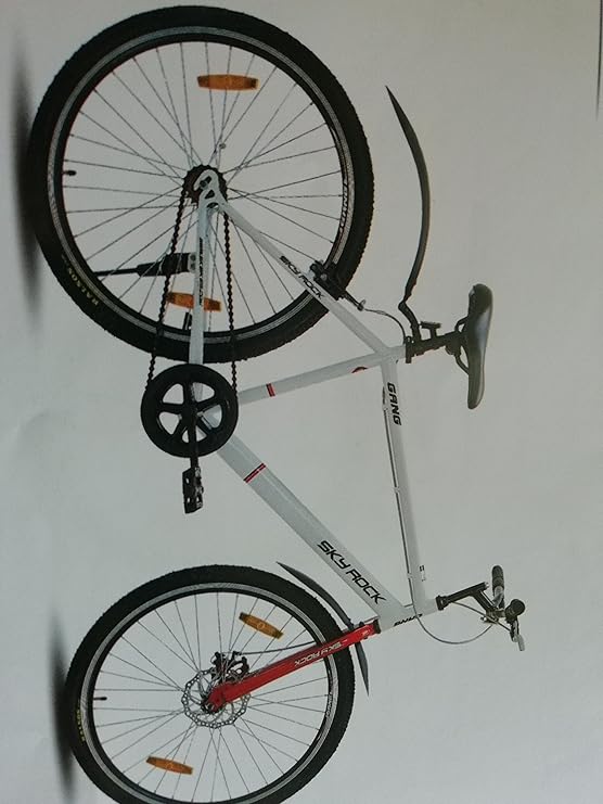 gang skyrock cycle price