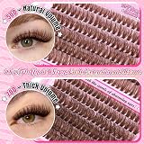 Calphdiar Brown Cluster Lashes Kit 50D 70D 10-18mm Bond Seal Tweezers view 2