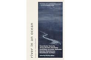River in an Ocean: Essays on Translation
