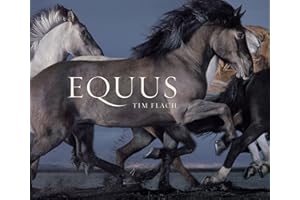 Equus (Mini)