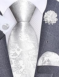 GUSLESON White Tie for Men Wedding Retro Paisley