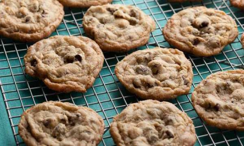 Thehedonista - //medicalbooks.filipinodoctors.org