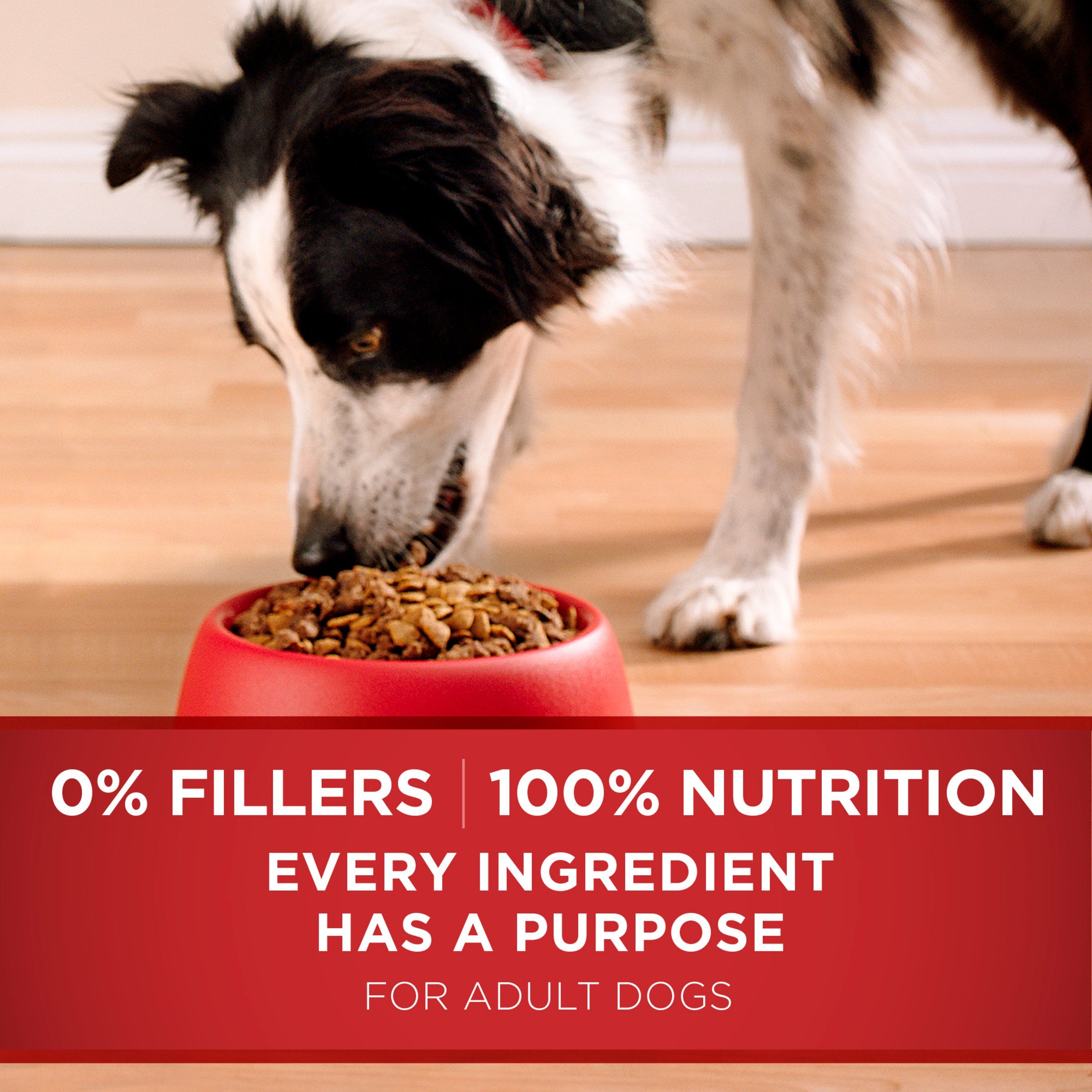 Purina ONE SmartBlend Natural Formula Adult Dry Dog Food - Image 7