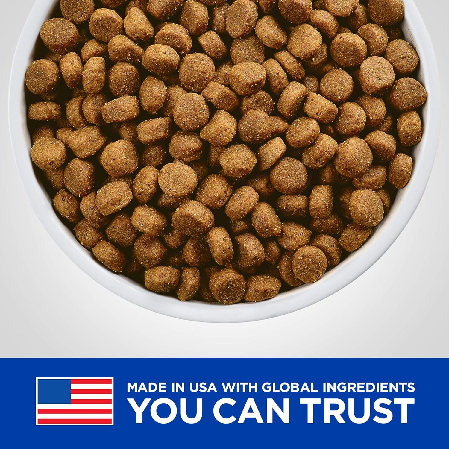 hills brain aging dog food