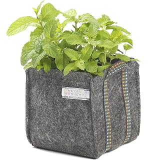 Saco Tomatero Mh (30x30x30cm) para huerto Urbano + Manual ...