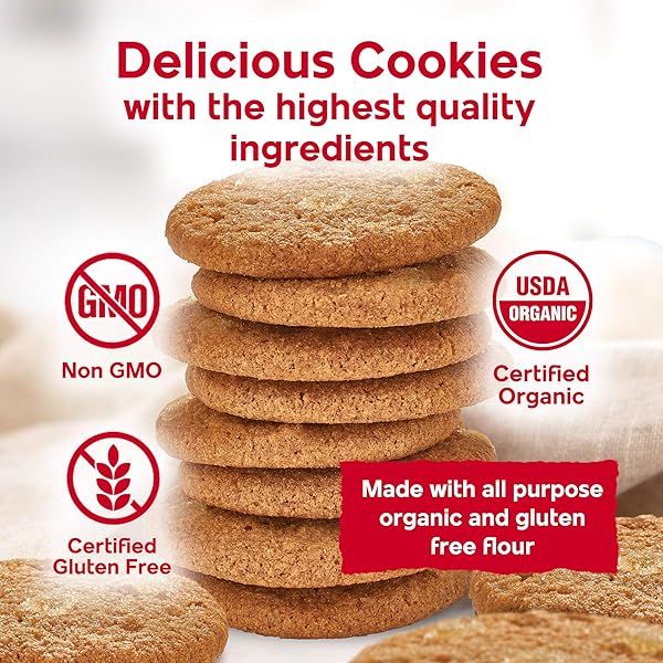 STEVE & ANDY’S ORGANIC GINGERBREAD COOKIES, 5.5 OZ