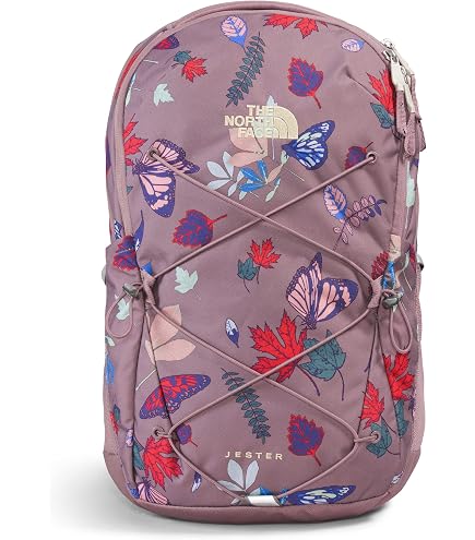 The North Face Women's Jester Everyday Laptop Backpack, Ashen Purp/Blk, OS