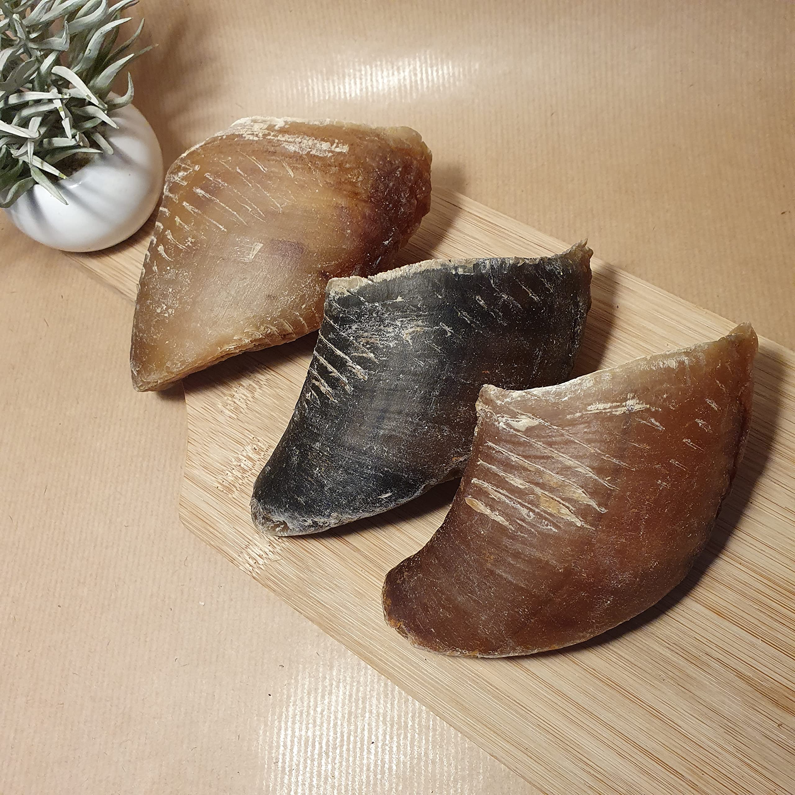 MinMont Pets - Hollow Cow Hooves, Long Lasting Natural Dog Chews 3 or 5 pieces (3 Pieces)