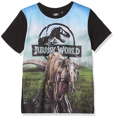 Unbekannt Jungen T-Shirt Dinosaur