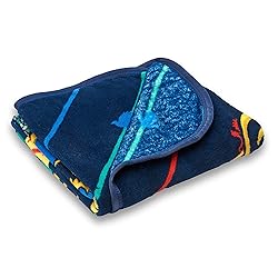 Northwest Harry Potter Micro Raschel Throw