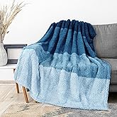 PAVILIA Fluffy Sherpa Throw Blanket Ombre | Gradient Plush, Soft, Fuzzy, Decorative Accent Throw Blanket for Couch Sofa Bed | Cozy Warm Decorative Furry Faux Fur Blanket, 50x60 Inches Sea Blue