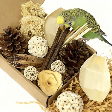 thumbnail image 2 of Parakeet Toys,Paradise Series Aurora's Amulet Handmade Bird Toy Parrot... 2 of 14
