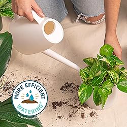Back to the Roots 100% Organic Indoor Potting Mix